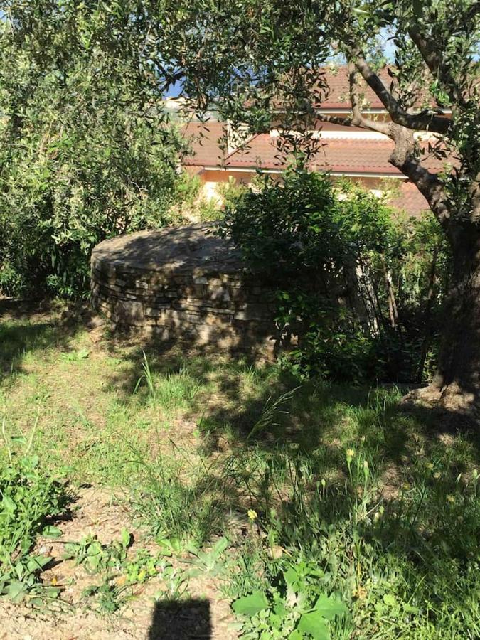 Casa Solemar Villa Imperia Eksteriør billede